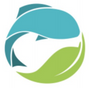 Success Import USA logo